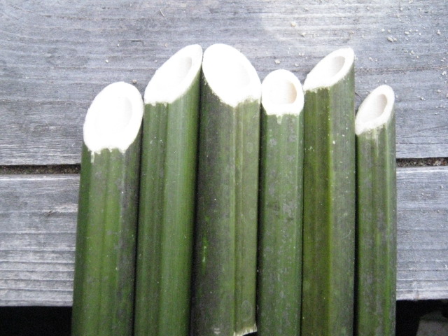 竹を斜めに切る 山里フィールドノート － blog