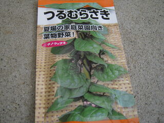 20250506001.jpg