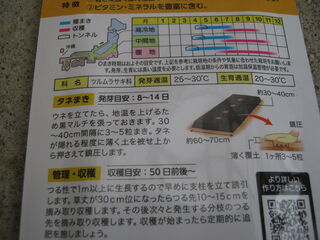 20250506002.jpg