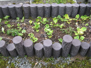 20250510004.jpg