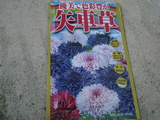 20250513004.jpg