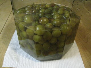 20250604004.jpg
