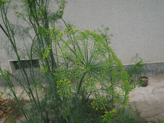 20250612001.jpg