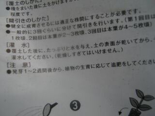 20250616005.jpg