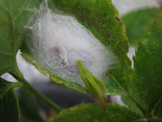 20250622005.jpg