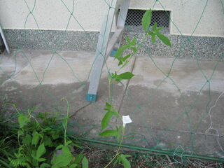 20250719002.jpg