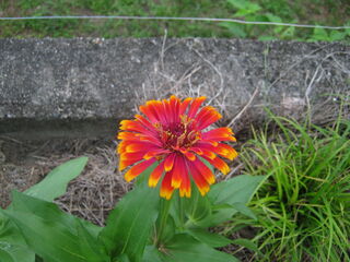 20250722001.jpg