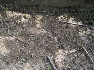20251008002.jpg