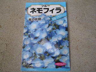 ネモフィラの種
