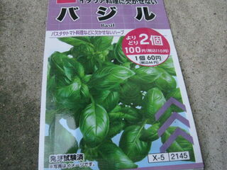 バジルの種