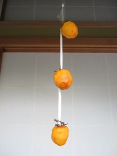 吊るし柿