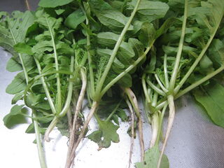 大根のまびき菜